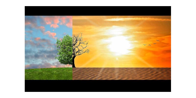 Emergencia climática y Finanzas Públicas
